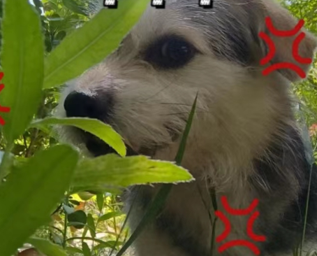 某宝买的音乐音效配乐素材库